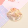 Gradiente cor shell DIY epóxi caso de telefone material de beleza resina marinha jóias acessórios