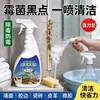 Removedor de Moho para Cuero 500ml Tipo Fuerte Para Sofás de Cuero Ropa de Cuero Bolsos de Cuero Zapatos de Cuero Eliminar Manchas de Moho Manchas Negras Cuero Genuino Cuero