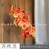 Flor Artificial Bandai Orchid de Alta Qualidade Decoração de Casamento Bandai Orchid Decoração Suave Arranjo Floral Corsage de Orquídea Phalaenopsis Buquê de Mão
