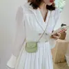 Mini Bolso de Silla Estilo Girly Transfronterizo Nuevo Estilo Coreano Color Sólido Cadena Bolso de Hombro Accesorios para Labiales Bolso Cruzado Bolso de Mujer