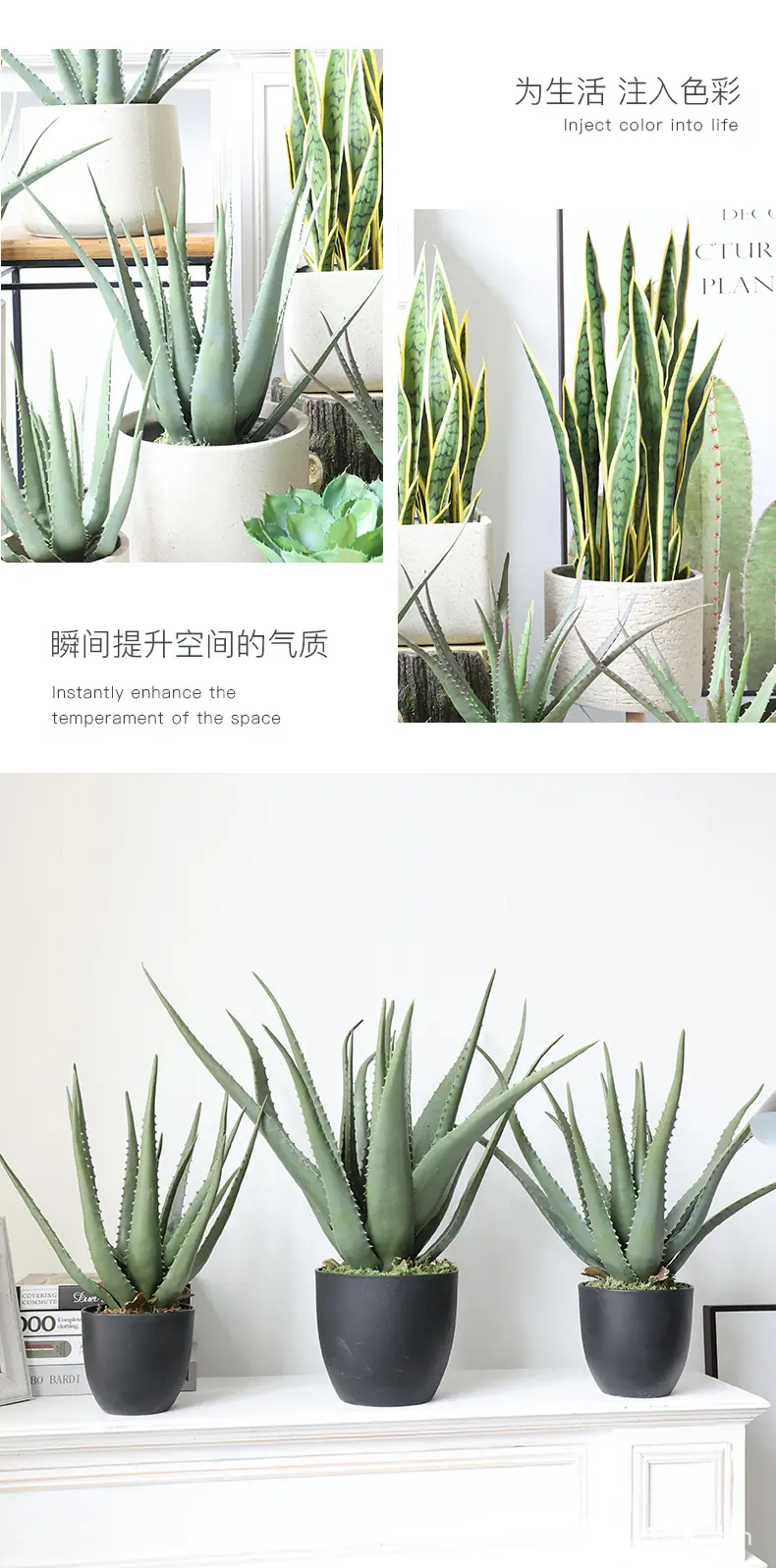 仿真芦荟+虎皮兰_07.jpg