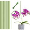 Pilha de orquídea dobrável transfronteiriça, suporte de planta de haste única, pilha de planta em vaso, fixa para varas de plantas internas e externas
