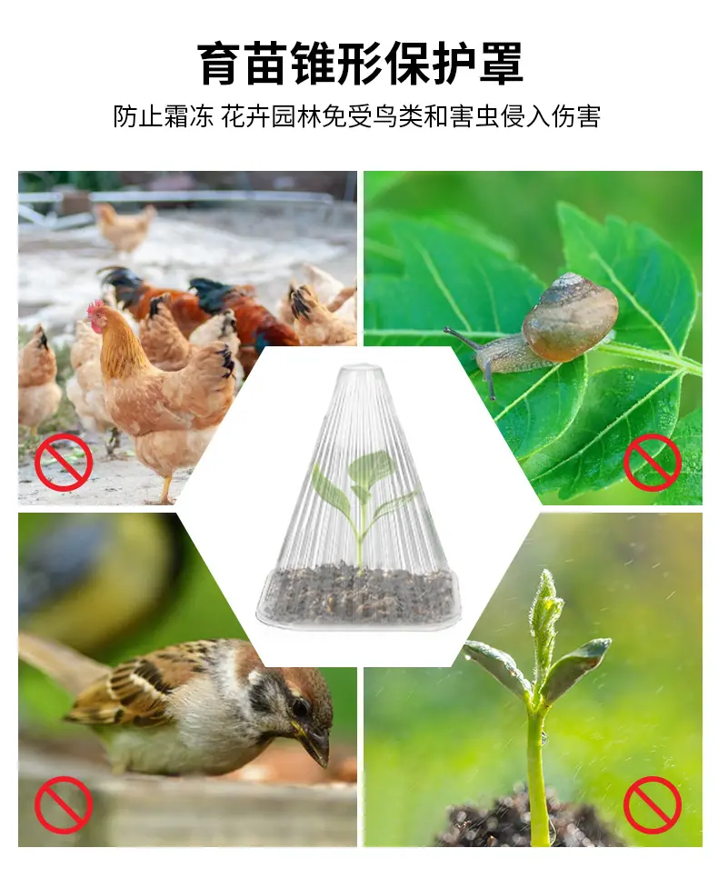 详情_03