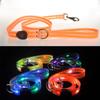 Suministro transfronterizo Collar luminoso LED multicolor para mascotas Anillo de goma impermeable con carga Correa para perro con cordón