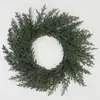 Guirnalda de Vid para Anillo de Navidad Más Vendida de Amazon, Guirnalda Decorativa Transfronteriza, Colgante de Puerta, Exhibición de Ventana, Vid Decorativa para Lugar
