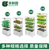 Máquina de Plantación de Verduras Equipo Hidropónico Casero para Verduras Fábrica de Plantas Cultivador de Plántulas Cultivo sin Suelo Plantación Otro