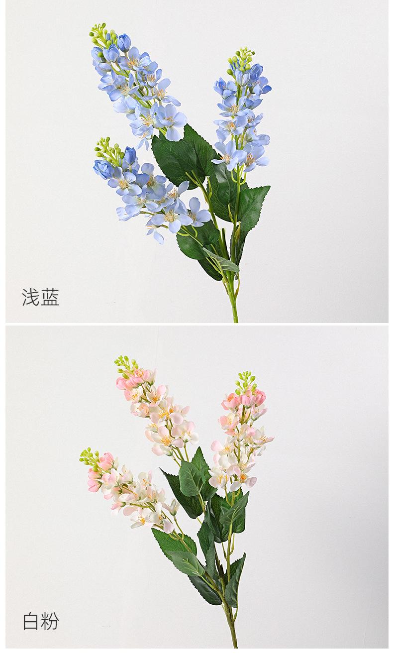 详情_06.jpg
