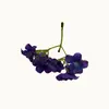 Flor de Simulación Flor de Adelfa Hilos de Flores Flores Pequeñas Arreglo Floral Hecho a Mano Cabezas de Flores Accesorios para el Cabello con Cabezas de Flores Accesorios para Corona de Flores Fabricante Mayorista