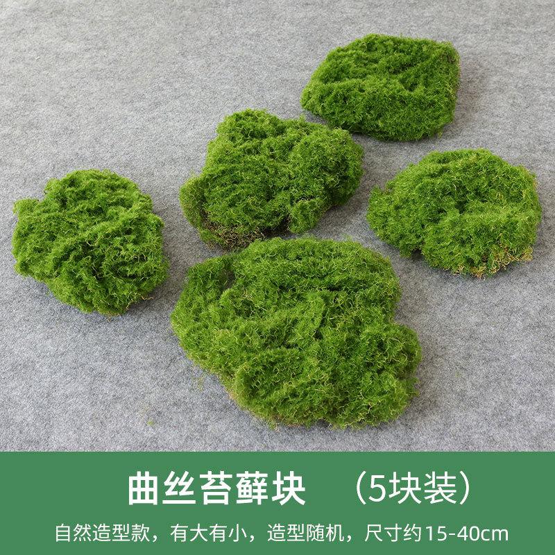 曲丝苔藓块-5块装.jpg