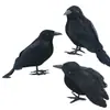 Penas de simulação Corvo ornamentos Halloween pássaros falsos decorações adereços de fotografia Modelo de ensino Corvo pássaro de simulação
