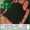 Semillas de verdolaga Medicina Tradicional China Semillas de Hierba de Verdolaga Semillas de Girasol de Flor Grande Materiales Medicinales No Recomendado para Plantar