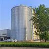 Silo de Placa de Aço de 200 Toneladas Fábrica de Criação Fengdexinzheng Usa Tempo de Construção Curto, Descarga Automática, Silo Vertical Espessado Galvanizado