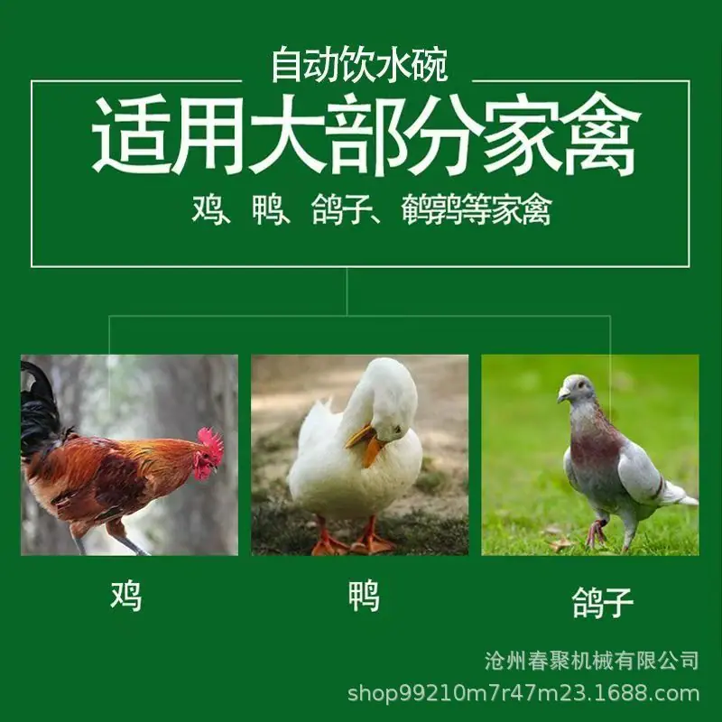 微信图片_20250401160832.jpg