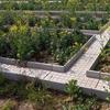Borda de Trincheira para Horta Finalizada para Transformar Pequeno Pátio de Jardim, Borda de Contenção para Canteiro de Legumes, Tijolo Pavimentador de Cimento para Canteiro de Legumes, Trincheira para Horta