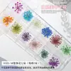 Estilo Ins japonés flor seca para uñas joyería pétalos pequeños Cielo Estrellado 12 rejillas colorida encaje flor decoración de uñas flor