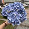 Nuevo comercio exterior verde oscuro sensación 3D hortensia 5 cabezas película hortensia de Nueva Zelanda boda decoración suave flor artificial venta al por mayor