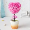 Casa pastoral simulação planta conjunto de bonsai sala de estar interna decorações de plantas verdes ornamentos simulação de bonsai