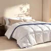 Manta espacial de fibra antibacteriana Clase A, manta universal para todas las estaciones, manta de primavera y otoño, manta de invierno, ropa de cama para estudiante de dormitorio individual