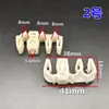 Arnés de Cables de Tubería de Aceite para Chasis de Carrocería de Automóvil Tubería de Agua Tubería de Hierro Espaciador Clip de Plástico Fijo Abrazadera de Sujeción Hebilla de Goma