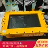 Computadora de minería a prueba de explosiones computadora de control industrial KJD127 (16G+512G), computadora intrínsecamente segura y a prueba de explosiones