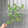 Flores Artificiais e Plantas Verdes Estilo Floresta para Casamento, Capim Pampa de Bambu, Plantas Verdes Artificiais Aspargo, Plantas Artificiais, Plantas Verdes Falsas para Paisagismo