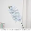 Orquídea Borboleta de Seda Simulada de 9 Flores para Cenário de Fotografia de Casamento, Decoração de Palco, Arranjo de Flores, Decoração de Casa, Flores Decorativas Suaves para Lobby de Hotel