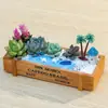 Vaso de Suculenta Florido Estilo Retrô Caixa de Madeira Combinação de Micro-Paisagem Planta em Vaso Atividade de Guilda da Empresa Material para Atividade DIY de Arte Floral