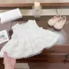 Bolo Cremoso Pequeno! Roupa de Verão Favorita das Meninas com Blusa de Renda Francesa Elaborada e Shorts