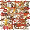 [Colección] 50 pegatinas transparentes de PET de doble cara para graffiti para decoración, álbumes de recortes DIY y pegatinas para fundas de teléfono, al por mayor