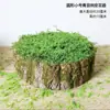 Plantas Verdes, Musgo, Casca de Árvore, Troncos de Árvore Falsos, Jardim de Infância com Tema Floresta, Estilo Pastoral, Enfeites de Musgo, Decorações de Paisagismo, Podem Ser Usados para Arranjos de Flores