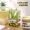 Bainabangshou Tanque de Peces con Planta Verde de Escritorio Caja Transparente de Plástico Mini Tanque de Peces de Oficina