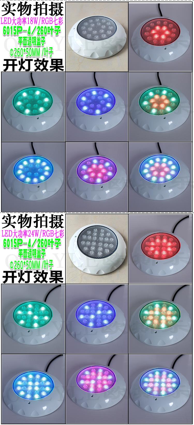 23年平面透明盖-230太阳花-230叶子-260叶子-详情