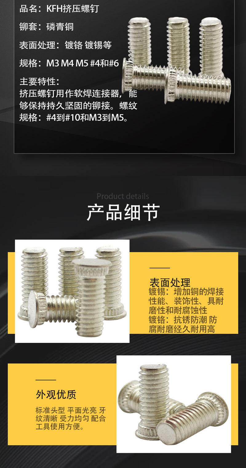 挤压螺钉_04.jpg