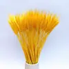 Venta al por mayor de fábrica ramo de flores secas de espiga de trigo natural cebada de apertura adornos de decoración pastoral adornos de flores secas estilo pastoral