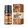 Comércio Exterior Transfronteiriço Óleo Essencial Aromaterapia Solúvel em Água 5ml Purificador de Ar de Interior Umidificador Fragrância Óleo Essencial Aromaterapia Atacado