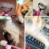 Peine para Mascotas Listo para Venta al por Mayor Peine para Nudos de Mascotas Peine para Quitar el Pelo de Perro y Gato Limpieza de Mascotas Suministros para Gatos y Perros