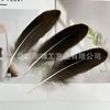 Accesorios para Joyería DIY Decoración de Plumas Tocado Broche Sombrero Zapatos Manualidades Hechas a Mano Decoración Educación Infantil Temprana