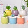 Vaso de cerâmica multi-carnudo criativo mini combinação macaron planta cacto vaso de mesa ornamentos fabricantes de vasos atacado
