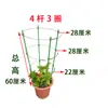 Soporte para Flores para Trepar Enredaderas, Varilla de Soporte para Árbol del Dinero Epiphyllum, Marco Extensible de Pinza de Cangrejo para Trepar Orquídeas Buganvilias Ampliado y Fijo