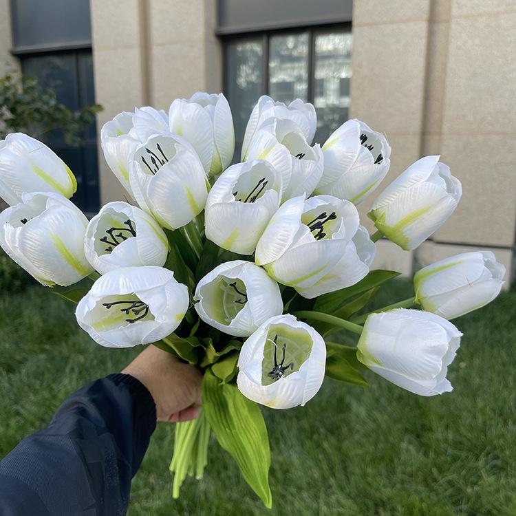 20头把束花蕊郁金香-白色.JPG