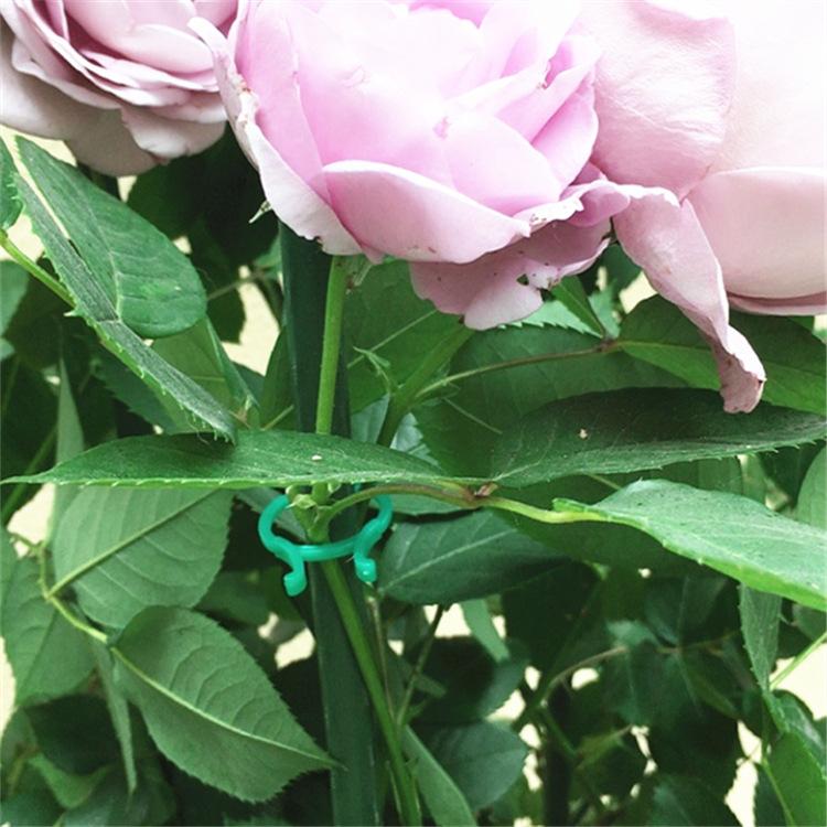 O1CN01gdLeY32KYC58TmdoQ_!!0-ra