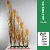 Simulação de cor flores de capim dos pampas enfeites de alta qualidade decoração de mesa escritório único 3 cabeças paisagismo sala de estar buquê com cabo