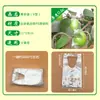 Suministro Directo de Fábrica de Bolsas para Dátiles Verdes, Bolsas Grandes para Dátiles Verdes, Bolsas para Maracuyá, Bolsa Transparente de Película para Protección de Frutas contra Insectos