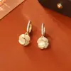 Pendientes de Zirconia Ojo de Gato de Alta Gama, Pendientes Elegantes de Moda Estilo Coreano Dongdaemun, Pendientes Exquisitos y Versátiles para Caras Cuadradas y Redondas