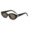 Gafas de Sol Vintage Estilo Ojo de Gato para Celebridades de Internet, Modelo Nuevo de Alta Gama 2024, Gafas de Sol Estilo Dada Yang Mi, Gafas de Sol de Moda