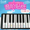 Pegatina de Piano Inglés Comercio Exterior Transfronterizo Combinación de Colores Pegatina de Teclado Inferior 88/61/49 Teclas Espectro Simplificado Grupo de Palabras Universal