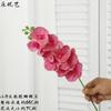 Flores Artificiales Phalaenopsis 3D de Alta Calidad Le Youyi de 9 Cabezas, Flores Falsas para Bodas, Arreglos Florales de Piso, Flores para Decoración de Bodas, Decoración del Hogar