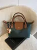 Nova Bolsa de Ombro Elegante e Simples, Fotografia de Rua, Viagem, Bolsa Transversal, Compras, Trabalho, Viagem de Negócios, Pequena Bolsa Estilosa
