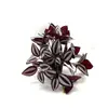 Planta Verde Artificial Hoja de Ceja Ratán Patrón Sandía Pequeña Colgante Planta Colgante de Pared Accesorios de Pared Adornos para Interiores y Exteriores Decoración