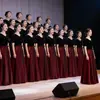 Atuendo de Presentación Coral, Presentador de Concurso de Recitación de Canciones Rojo, Vestido de Noche Negro para Mujer, Vestido Largo, Vestido de Director de Orquesta